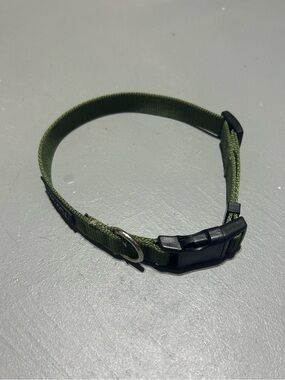 Top Paw Green Dog Collar
